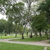 Ciudad Ho Chi Minh planea construir al menos 10 hectáreas de parques públicos
