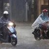 Tormenta Ma-on provocará aguaceros en norte y centro de Vietnam