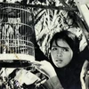Ouverture d'une Semaine du film vietnamien au Paraguay 