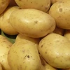Vietnam: Marché potentiel pour les pommes de terre néo-zélandaises 