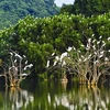 Promenade au parc ornithologique de Thung Nham