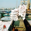 Recul des exportations nationales de riz 