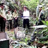 Quang Binh : un trafic d'animaux sauvages démantelé