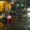 Des experts étrangers se penchent sur le problème des inondations à Hô Chi Minh-Ville