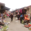 Simplicité et authenticité au marché villageois