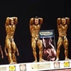 Bodybuilding et fitness d'Asie : 5 médailles d'or pour le Vietnam 