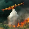 L'Indonésie verse des millions de dollars pour résoudre les incendies forestiers