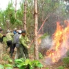 Aide pour la lutte contre les incendies de forêt 