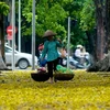 En automne, Hanoi dévoile son charme