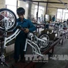 Bientôt une zone spécialisée de fabrication de vélos à Binh Duong