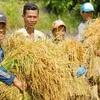 BAD : le taux de pauvreté du Vietnam est le plus bas d'Asie-Pacifique