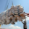 Plus de cinq millions de tonnes de riz exportées en dix mois