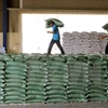 50.000 tonnes de riz du Vietnam et de Thaïlande seront exportées en Indonésie début 2016