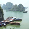 Des solutions contre la «surcharge» en haute saison de la baie de Ha Long