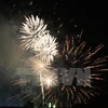 HCM-Ville : de nombreuses festivités pour saluer le Nouvel ​An