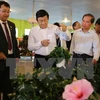 Le président Truong Tan Sang salue les modèles agricoles high tech de Lam Dong