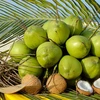 Bên Tre: Les produits à base de coco sont prisés en Asie