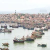 Trois unités administratives de Thanh Hoa reconnues communes insulaires