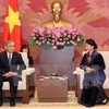 VIetnam-Japon : l'AN vietnamienne favorise la coopération décentralisée