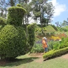 Le parc municipal de Da Lat, le rendez-vous de mille fleurs