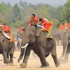 Bientôt la Fête des éléphants de Buôn Dôn 2016