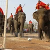 La Fête des éléphants de Dak Lak