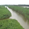 Aide sud-coréenne pour le développement des mangroves à Thai Binh