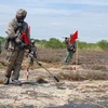 Agent orange : le Vietnam et les États-Unis renforcent leur coopération