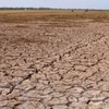 Venir en aide à la population touchée par la sécheresse et la salinisation