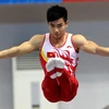 Deux gymnastes vietnamiens qualifiés aux JO 2016