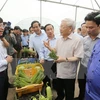 Le secrétaire général du PCV Nguyen Phu Trong à Ha Tinh