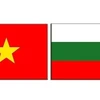 La Journée de l'écriture slave de Bulgarie célébrée au Vietnam