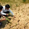 Assistance gouvernementale pour surmonter la sécheresse et la salinisation 