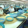 Etats-Unis: opportunités pour la noix de cajou du Vietnam