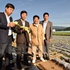 Kawakami, village japonais miraculeux dans l’agriculture, veut coopérer avec le Vietnam