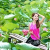 Hano​i à la saison des lotus