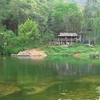 Dans le Nord, cure de nature en forêt de Bac Giang