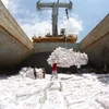 De belles opportunités pour les exportations de riz en Algérie