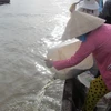 Hâu Giang : lâcher de 1.280 kg d'alevins de toutes sortes