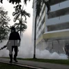 Singapour annonce 17 nouveaux cas d’infection au virus Zika