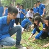Yên Bai fait écho à la campagne «Rendre le monde plus propre»