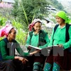 Les minorités ethniques représentent 14,6 % de la population du Vietnam