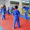 La sélection de Vovinam de Cao Bang à la conquête des sommets