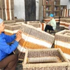 Hanoï investira plus de 32.700 mds de dôngs pour l'édification de la Nouvelle ruralité