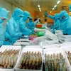 Les exportations de crevettes devraient atteindre 3,1 milliards de dollars en 2016