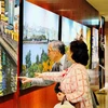 Un peintre vietnamien expose des tableaux sur des paysages japonais à Tokyo