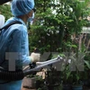 De nouveaux cas de Zika détectés à Ho Chi Minh-Ville et à Ba Ria-Vung Tau