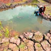 Forum sur l’environnement et le développement durable à Vinh Phuc