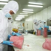 Forte hausse des exportations de thon congelé en UE 