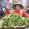 Vendeur de rue, la beauté culturelle de Hanoï